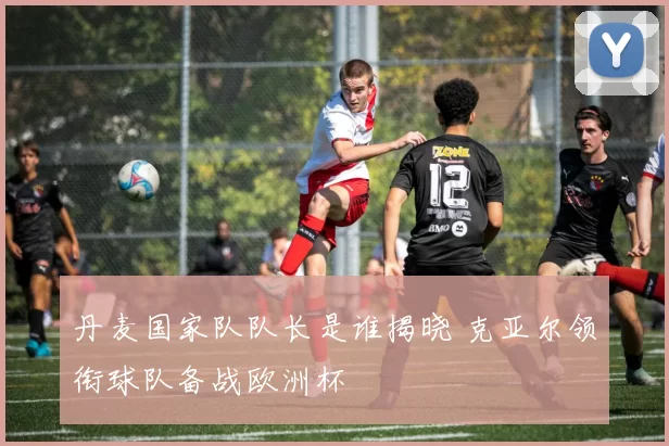 丹麦国家队队长是谁揭晓 克亚尔领衔球队备战欧洲杯