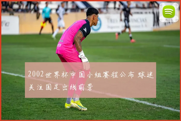 2002世界杯中国小组赛程公布 球迷关注国足出线前景